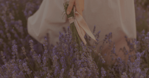 Featured image with lavender field background and the title of the blog post "Ethereal Storytelling. Herb Garden Concept: The First Kiss of Autumn".