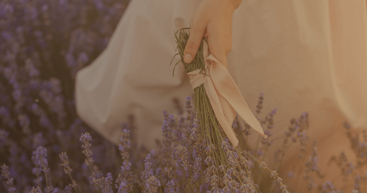 Featured image with lavender field background for the blog post "Ethereal Storytelling. Herb Garden Concept: The First Kiss of Autumn".