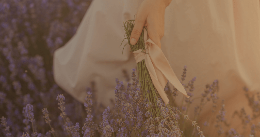 Featured image with the botanical healer's hand holding a fragrant lavender bouquet in the golden sunlight for the multisensory Ethereal Concept: "Ethereal Storytelling - Herb Garden Concept: The First Kiss of Autumn".